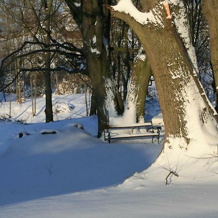 BakonybélSomhegyi Oereg Harsfak Major Vendeghaz住宿加早餐旅馆 外观 照片