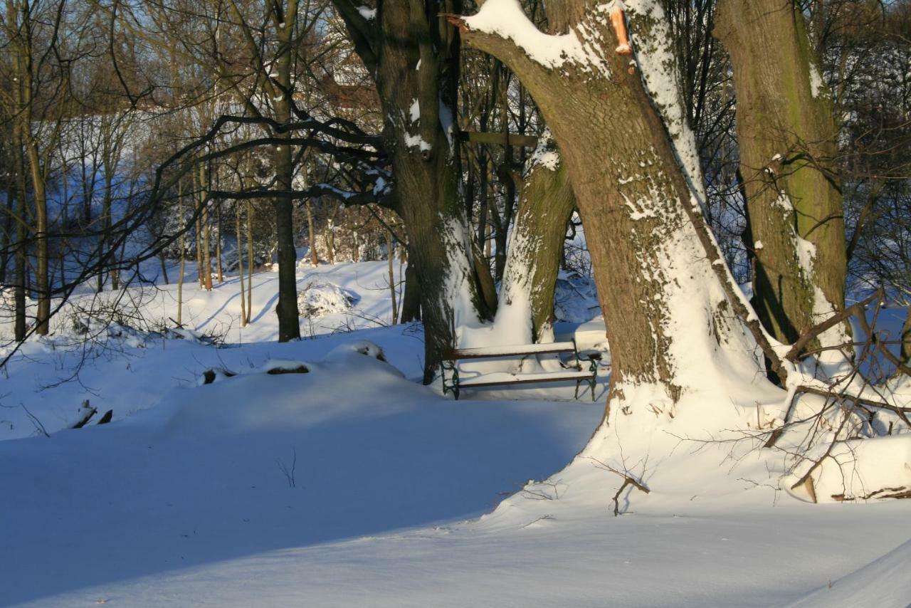 BakonybélSomhegyi Oereg Harsfak Major Vendeghaz住宿加早餐旅馆 外观 照片